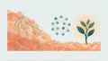 Enabling desert revegetation by AI-tailored soil microbiome fortification — project cover